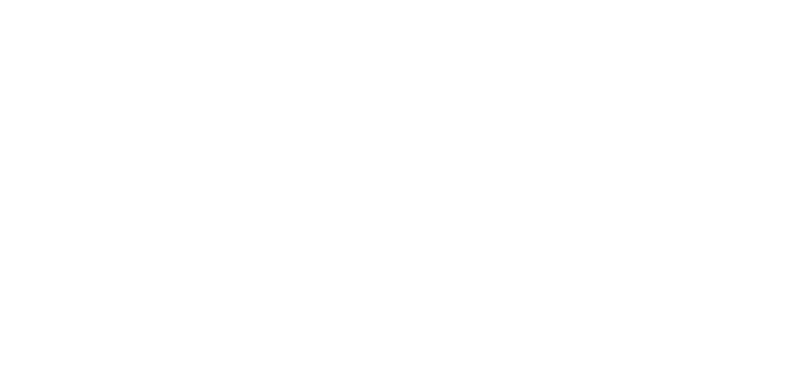 SAEBIS